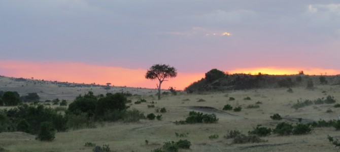 Kenya Sunset